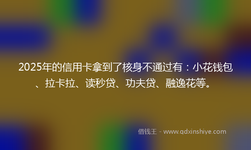 2025年的信用卡拿到了核身不通过有：小花钱包、拉卡拉、读秒贷、功夫贷、融逸花等。