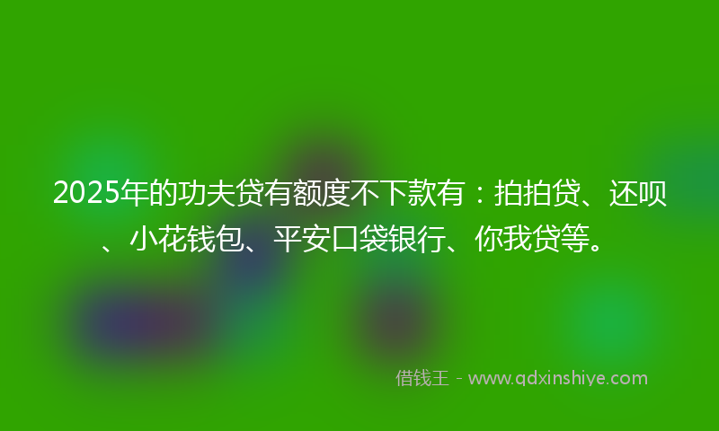 2025年的功夫贷有额度不下款有：拍拍贷、还呗、小花钱包、平安口袋银行、你我贷等。