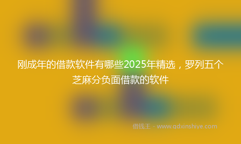刚成年的借款软件有哪些2025年精选，罗列五个芝麻分负面借款的软件
