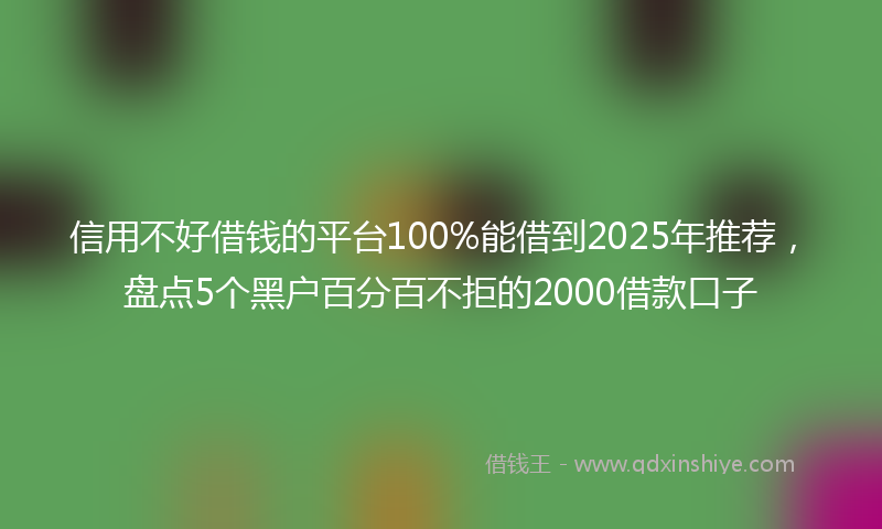 信用不好借钱的平台100%能借到2025年推荐，盘点5个黑户百分百不拒的2000借款口子