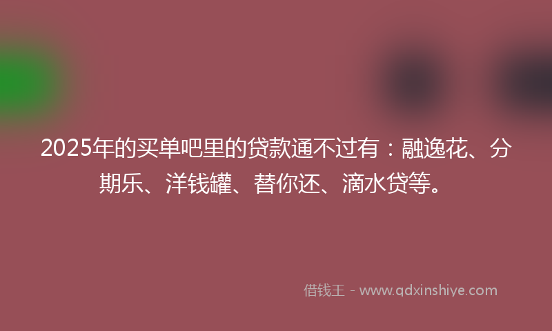 2025年的买单吧里的贷款通不过有：融逸花、分期乐、洋钱罐、替你还、滴水贷等。