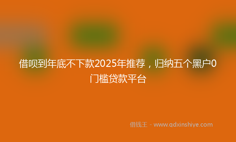 借呗到年底不下款2025年推荐，归纳五个黑户0门槛贷款平台