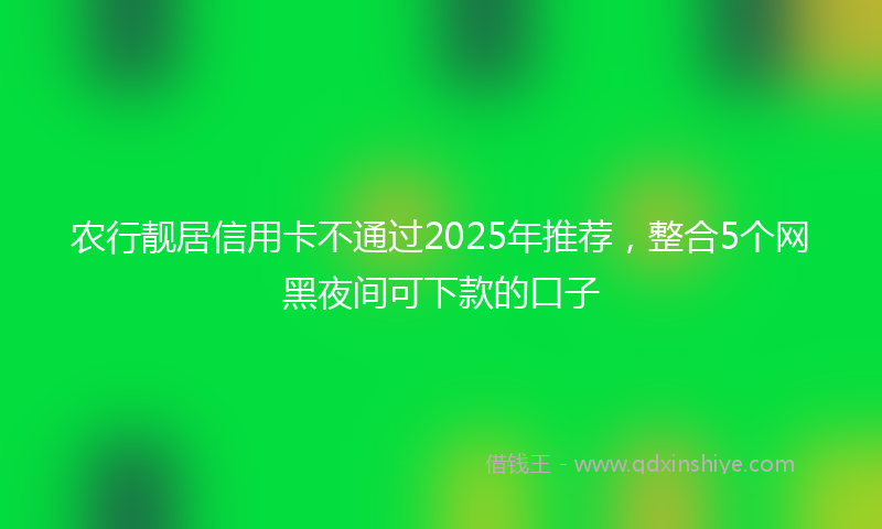 农行靓居信用卡不通过2025年推荐，整合5个网黑夜间可下款的口子