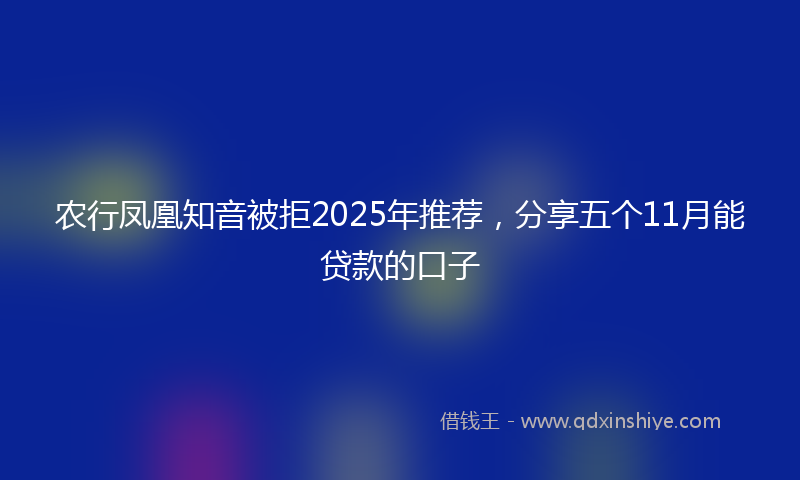 农行凤凰知音被拒2025年推荐，分享五个11月能贷款的口子