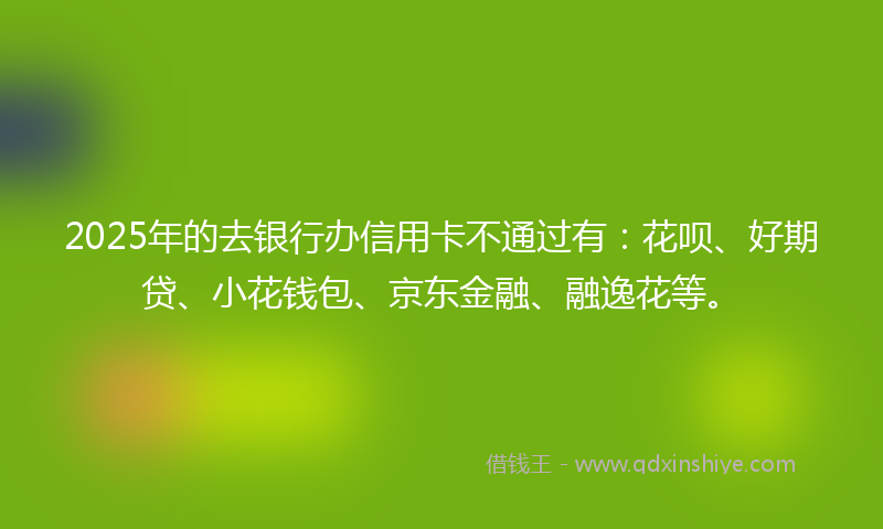 2025年的去银行办信用卡不通过有：花呗、好期贷、小花钱包、京东金融、融逸花等。