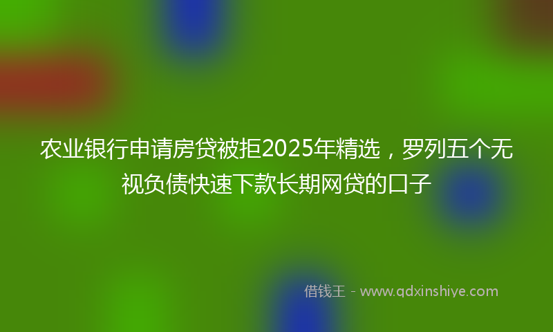 农业银行申请房贷被拒2025年精选，罗列五个无视负债快速下款长期网贷的口子