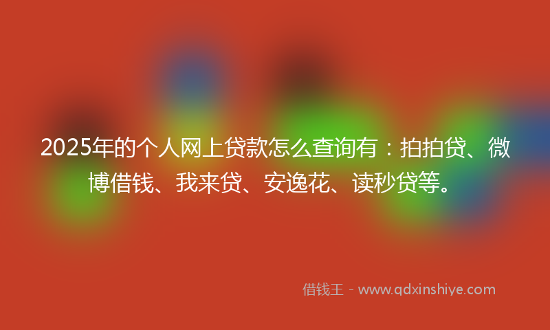 2025年的个人网上贷款怎么查询有：拍拍贷、微博借钱、我来贷、安逸花、读秒贷等。