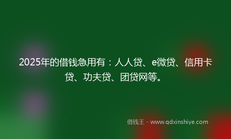 2025年的借钱急用有：人人贷、e微贷、信用卡贷、功夫贷、团贷网等。