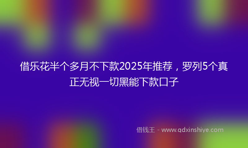 借乐花半个多月不下款2025年推荐，罗列5个真正无视一切黑能下款口子