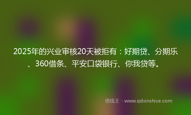 2025年的兴业审核20天被拒有：好期贷、分期乐、360借条、平安口袋银行、你我贷等。