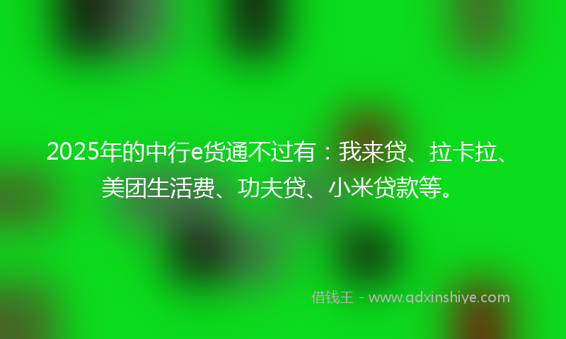 2025年的中行e货通不过有：我来贷、拉卡拉、美团生活费、功夫贷、小米贷款等。