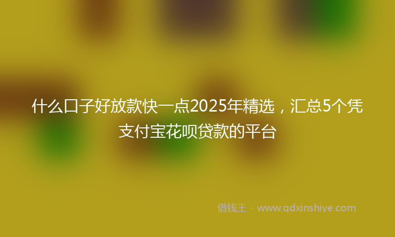 什么口子好放款快一点2025年精选，汇总5个凭支付宝花呗贷款的平台