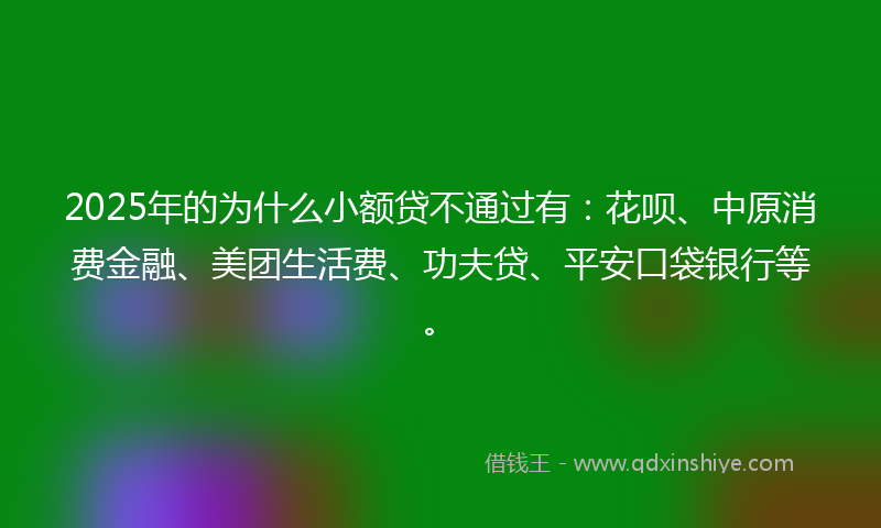 2025年的为什么小额贷不通过有：花呗、中原消费金融、美团生活费、功夫贷、平安口袋银行等。