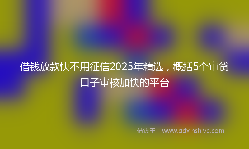 借钱放款快不用征信2025年精选，概括5个审贷口子审核加快的平台