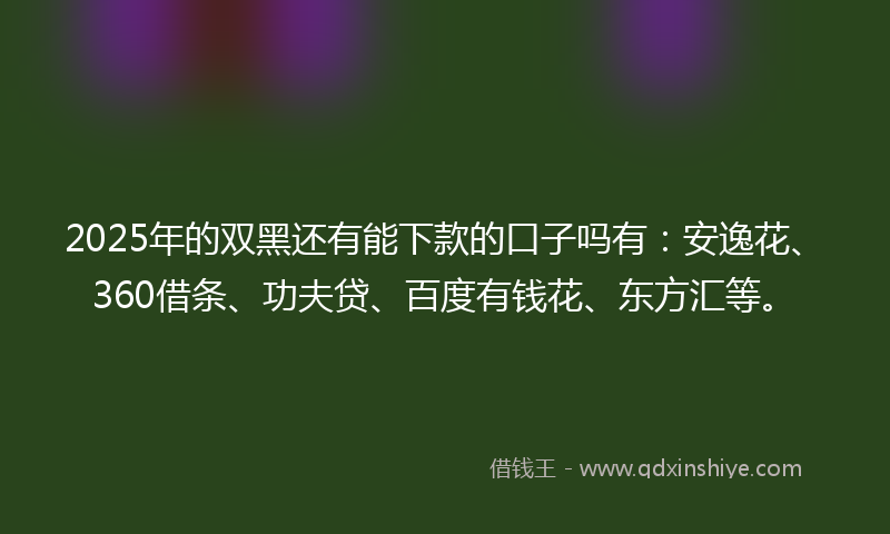 2025年的双黑还有能下款的口子吗有：安逸花、360借条、功夫贷、百度有钱花、东方汇等。