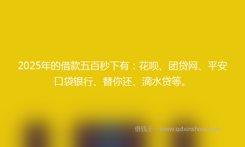 2025年的借款五百秒下有：花呗、团贷网、平安口袋银行、替你还、滴水贷等。