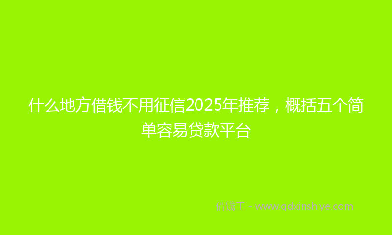 什么地方借钱不用征信2025年推荐，概括五个简单容易贷款平台