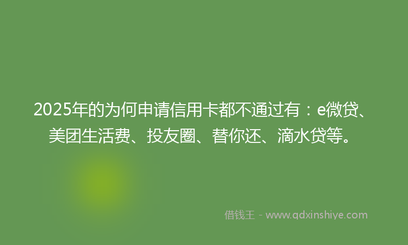 2025年的为何申请信用卡都不通过有：e微贷、美团生活费、投友圈、替你还、滴水贷等。