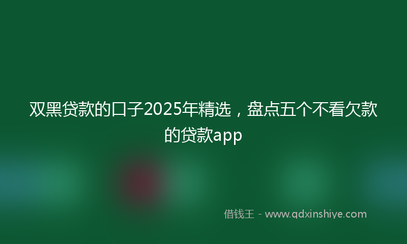 双黑贷款的口子2025年精选，盘点五个不看欠款的贷款app