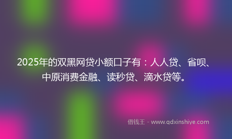 2025年的双黑网贷小额口子有：人人贷、省呗、中原消费金融、读秒贷、滴水贷等。