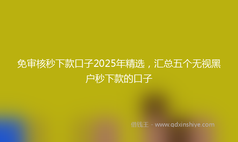 免审核秒下款口子2025年精选，汇总五个无视黑户秒下款的口子