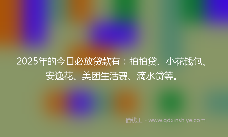 2025年的今日必放贷款有：拍拍贷、小花钱包、安逸花、美团生活费、滴水贷等。