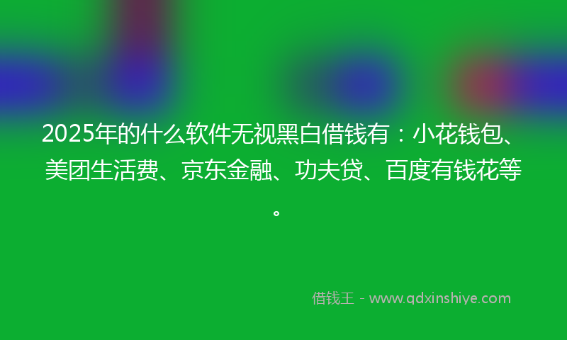 2025年的什么软件无视黑白借钱有：小花钱包、美团生活费、京东金融、功夫贷、百度有钱花等。
