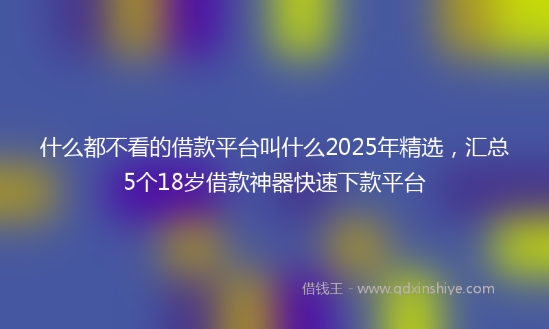 什么都不看的借款平台叫什么2025年精选，汇总5个18岁借款神器快速下款平台