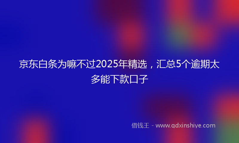 京东白条为嘛不过2025年精选，汇总5个逾期太多能下款口子