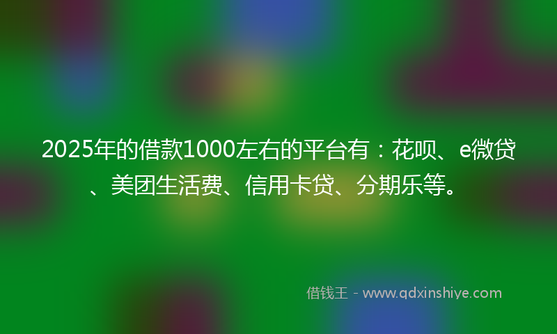 2025年的借款1000左右的平台有：花呗、e微贷、美团生活费、信用卡贷、分期乐等。