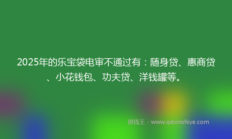 2025年的乐宝袋电审不通过有：随身贷、惠商贷、小花钱包、功夫贷、洋钱罐等。