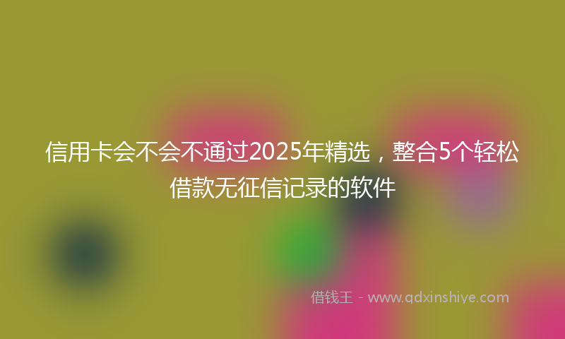 信用卡会不会不通过2025年精选，整合5个轻松借款无征信记录的软件