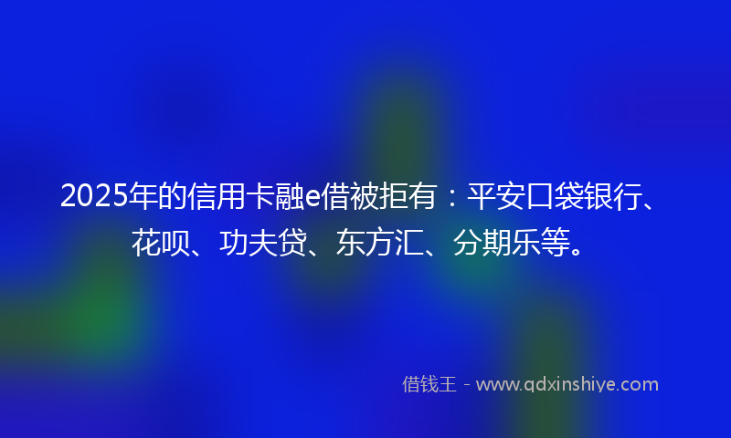 2025年的信用卡融e借被拒有：平安口袋银行、花呗、功夫贷、东方汇、分期乐等。