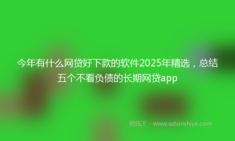 今年有什么网贷好下款的软件2025年精选，总结五个不看负债的长期网贷app
