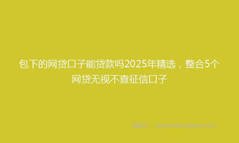 包下的网贷口子能贷款吗2025年精选，整合5个网贷无视不查征信口子