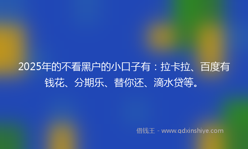 2025年的不看黑户的小口子有：拉卡拉、百度有钱花、分期乐、替你还、滴水贷等。