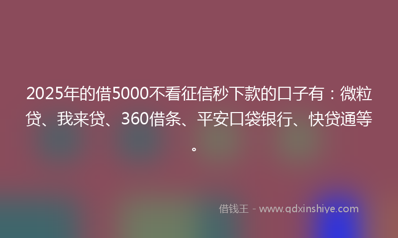 2025年的借5000不看征信秒下款的口子有：微粒贷、我来贷、360借条、平安口袋银行、快贷通等。
