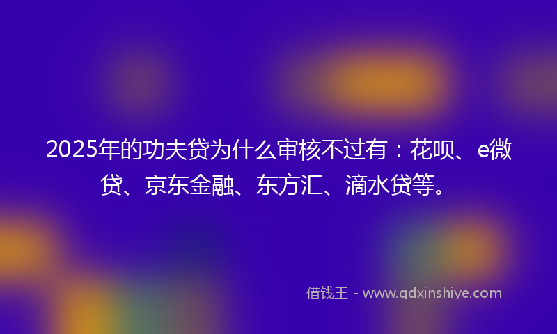 2025年的功夫贷为什么审核不过有：花呗、e微贷、京东金融、东方汇、滴水贷等。