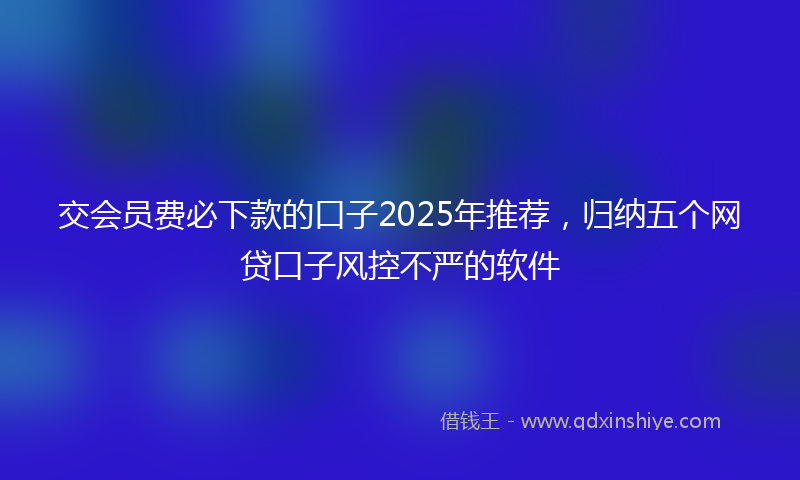 交会员费必下款的口子2025年推荐,归纳五个网贷口子风控不严的软件