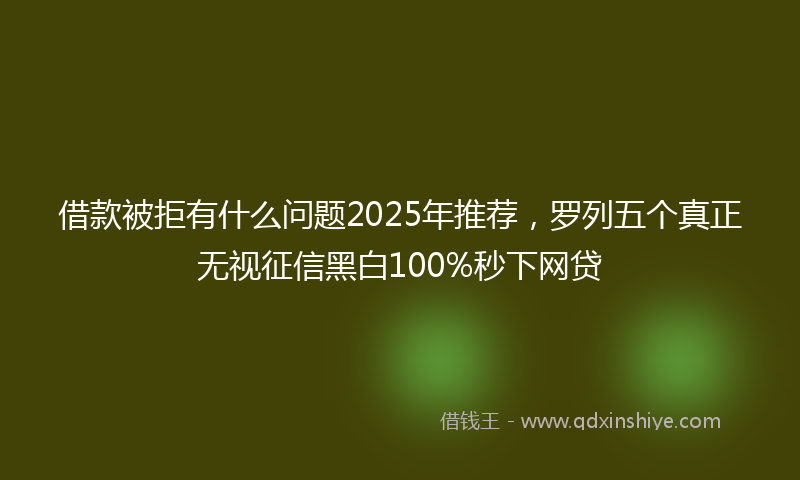 借款被拒有什么问题2025年推荐，罗列五个真正无视征信黑白100%秒下网贷