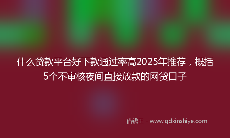 什么贷款平台好下款通过率高2025年推荐，概括5个不审核夜间直接放款的网贷口子