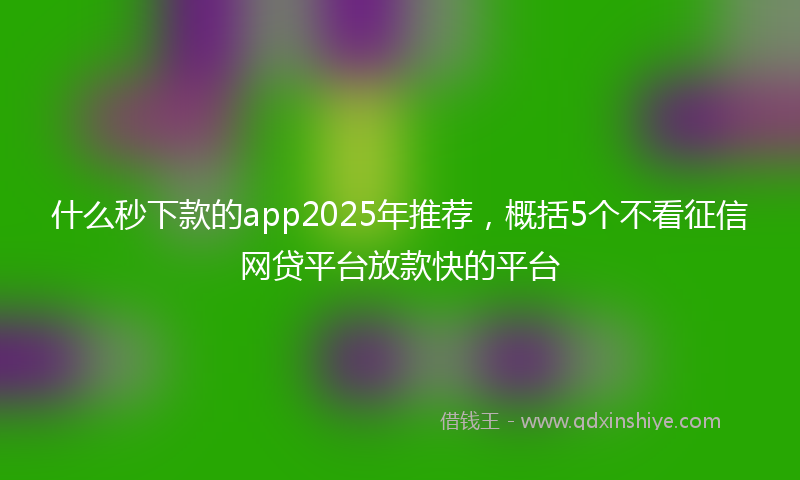 什么秒下款的app2025年推荐，概括5个不看征信网贷平台放款快的平台