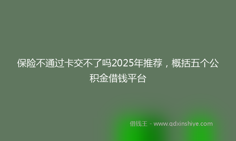 保险不通过卡交不了吗2025年推荐，概括五个公积金借钱平台