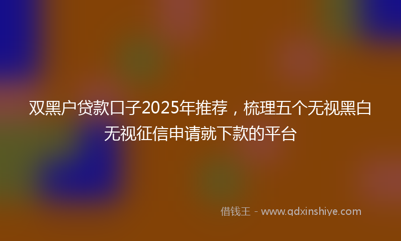 双黑户贷款口子2025年推荐，梳理五个无视黑白无视征信申请就下款的平台