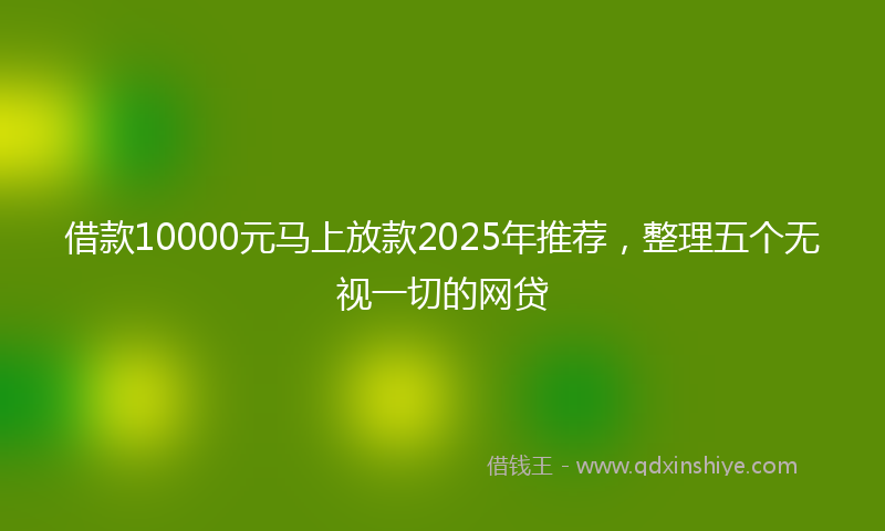 借款10000元马上放款2025年推荐，整理五个无视一切的网贷