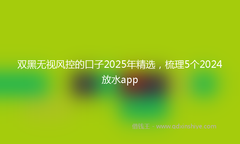 双黑无视风控的口子2025年精选，梳理5个2024放水app