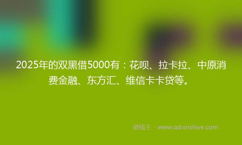 2025年的双黑借5000有：花呗、拉卡拉、中原消费金融、东方汇、维信卡卡贷等。