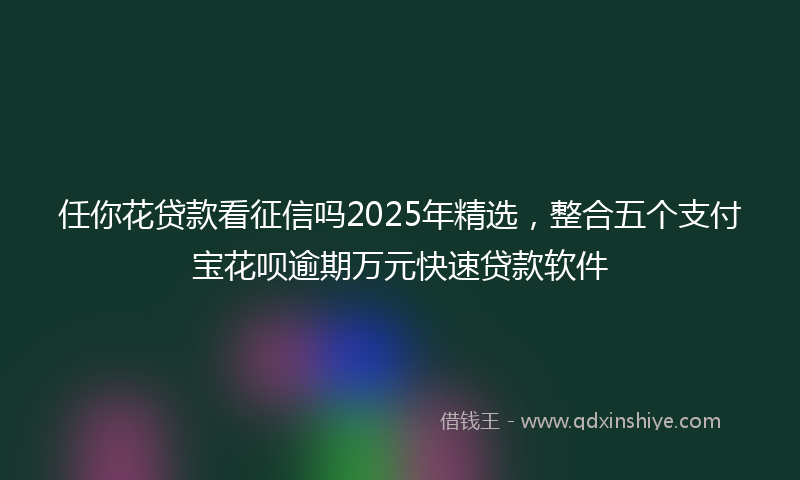 任你花贷款看征信吗2025年精选，整合五个支付宝花呗逾期万元快速贷款软件