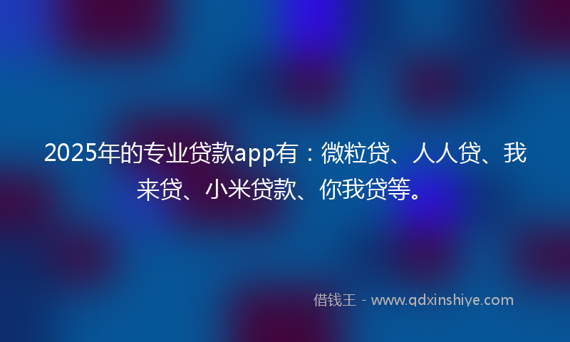 2025年的专业贷款app有：微粒贷、人人贷、我来贷、小米贷款、你我贷等。