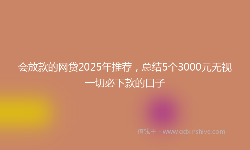 会放款的网贷2025年推荐，总结5个3000元无视一切必下款的口子